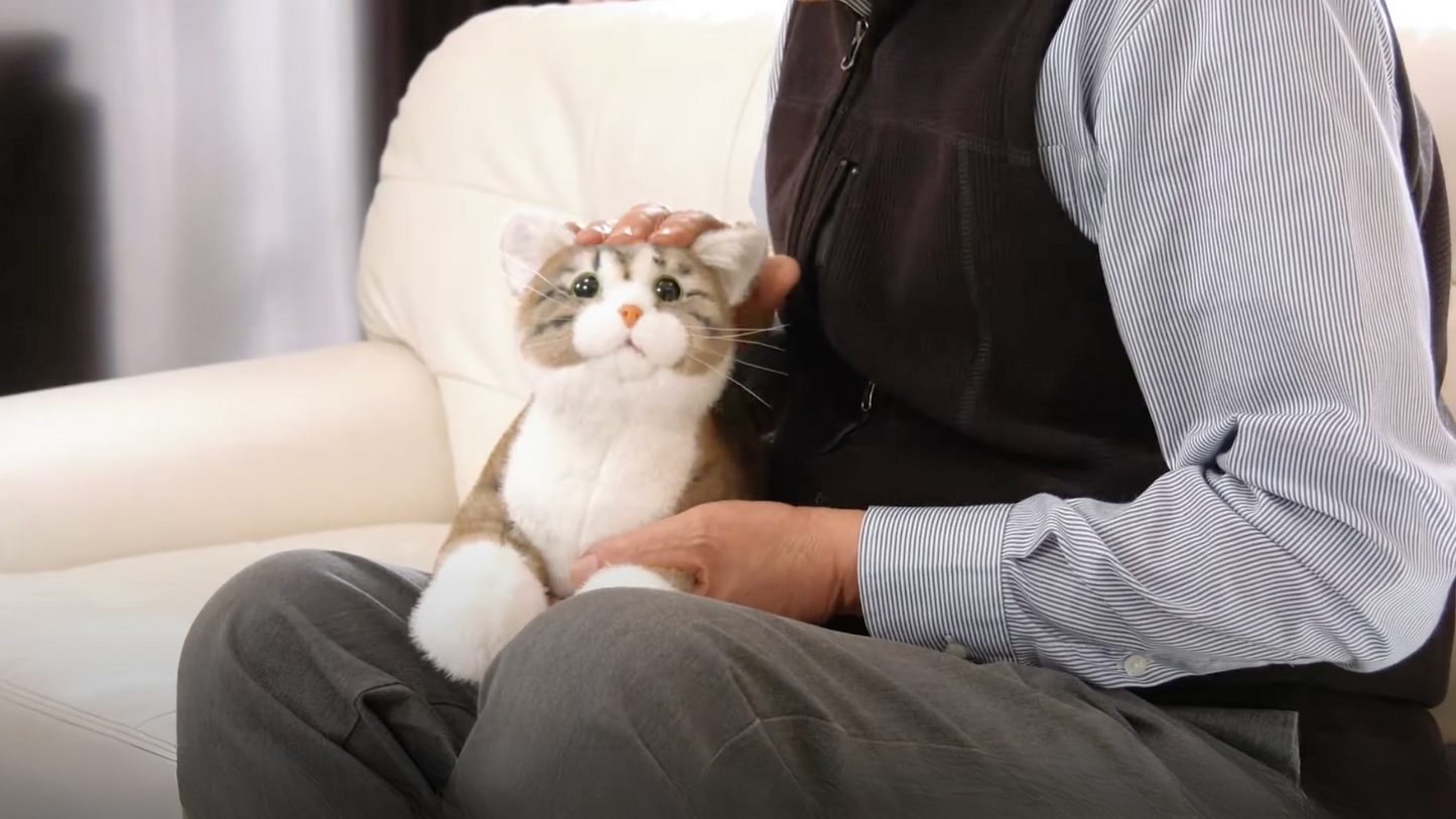 Companion Cat