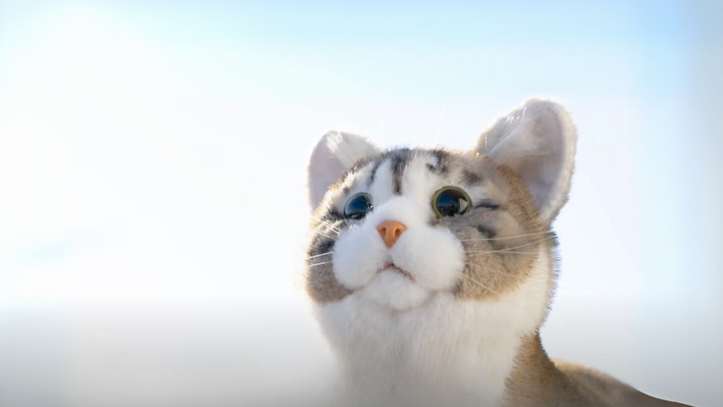Companion Cat