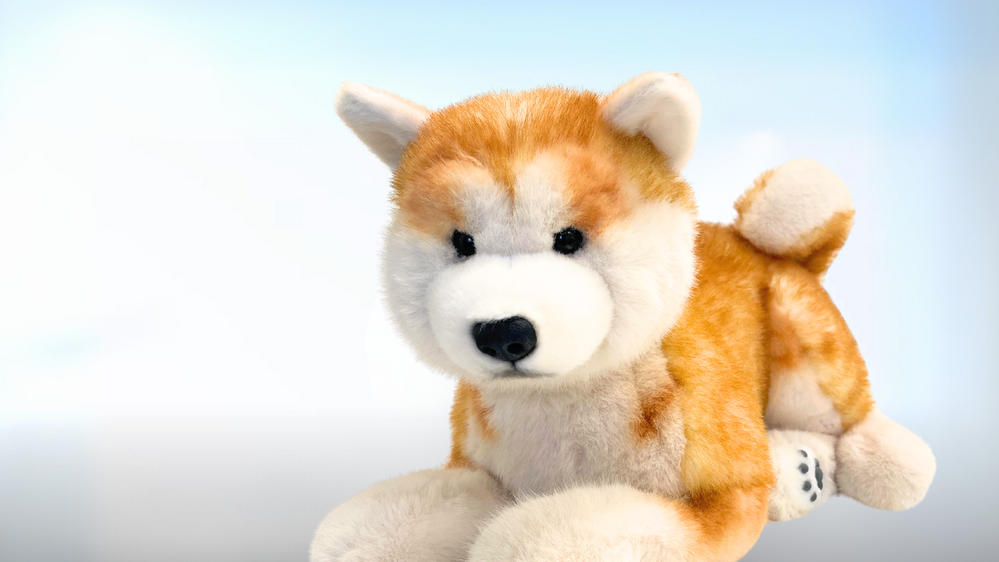 Companion Dog