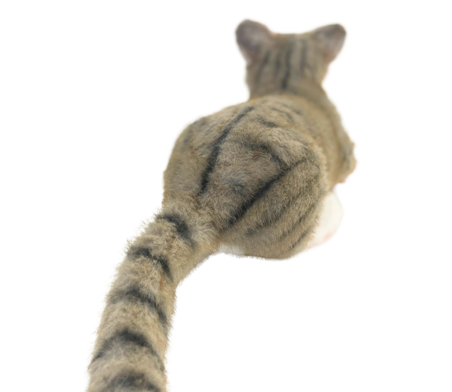 Companion Cat