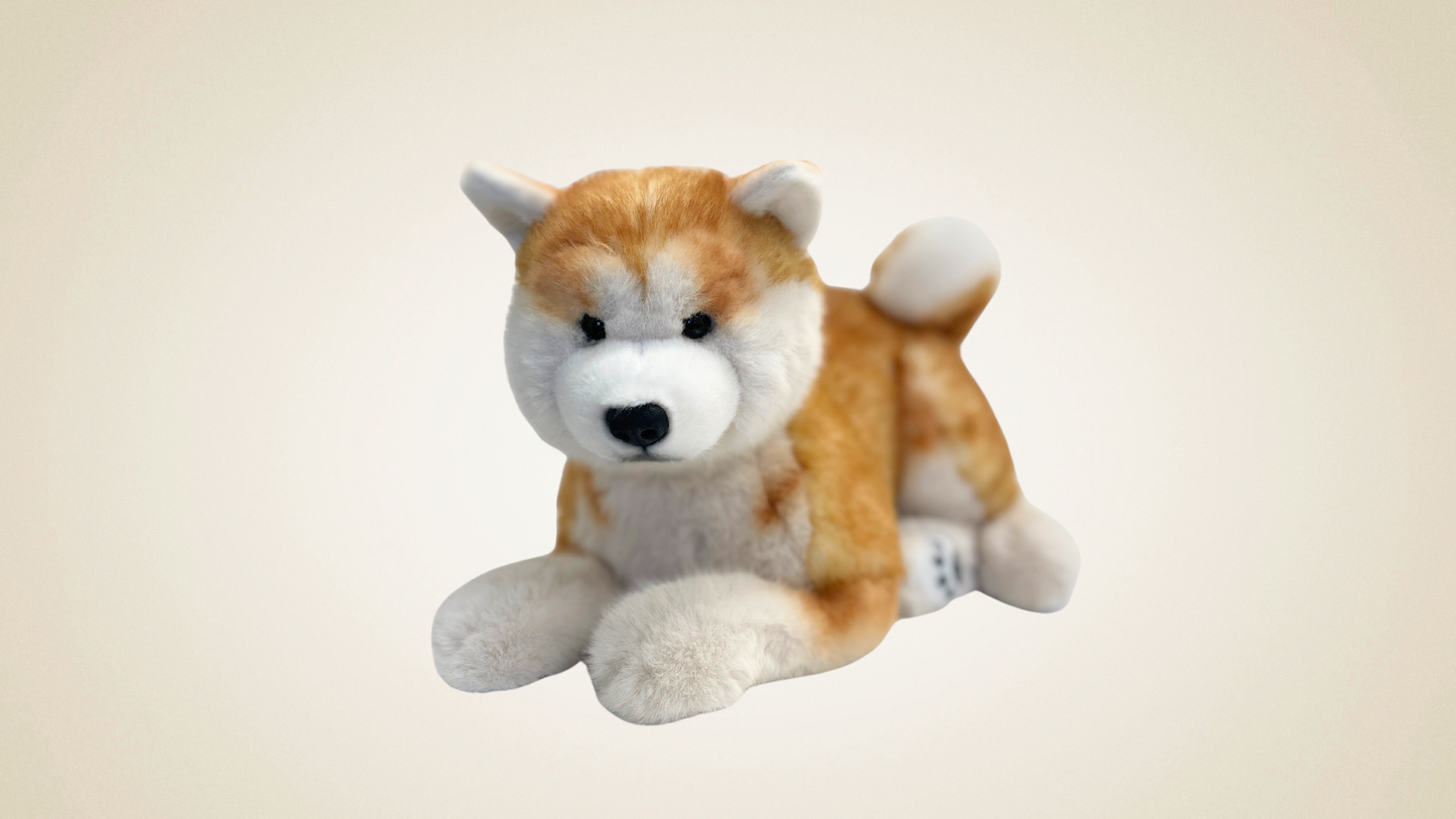 Companion Dog
