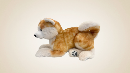 Companion Dog