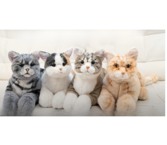 Companion Cat
