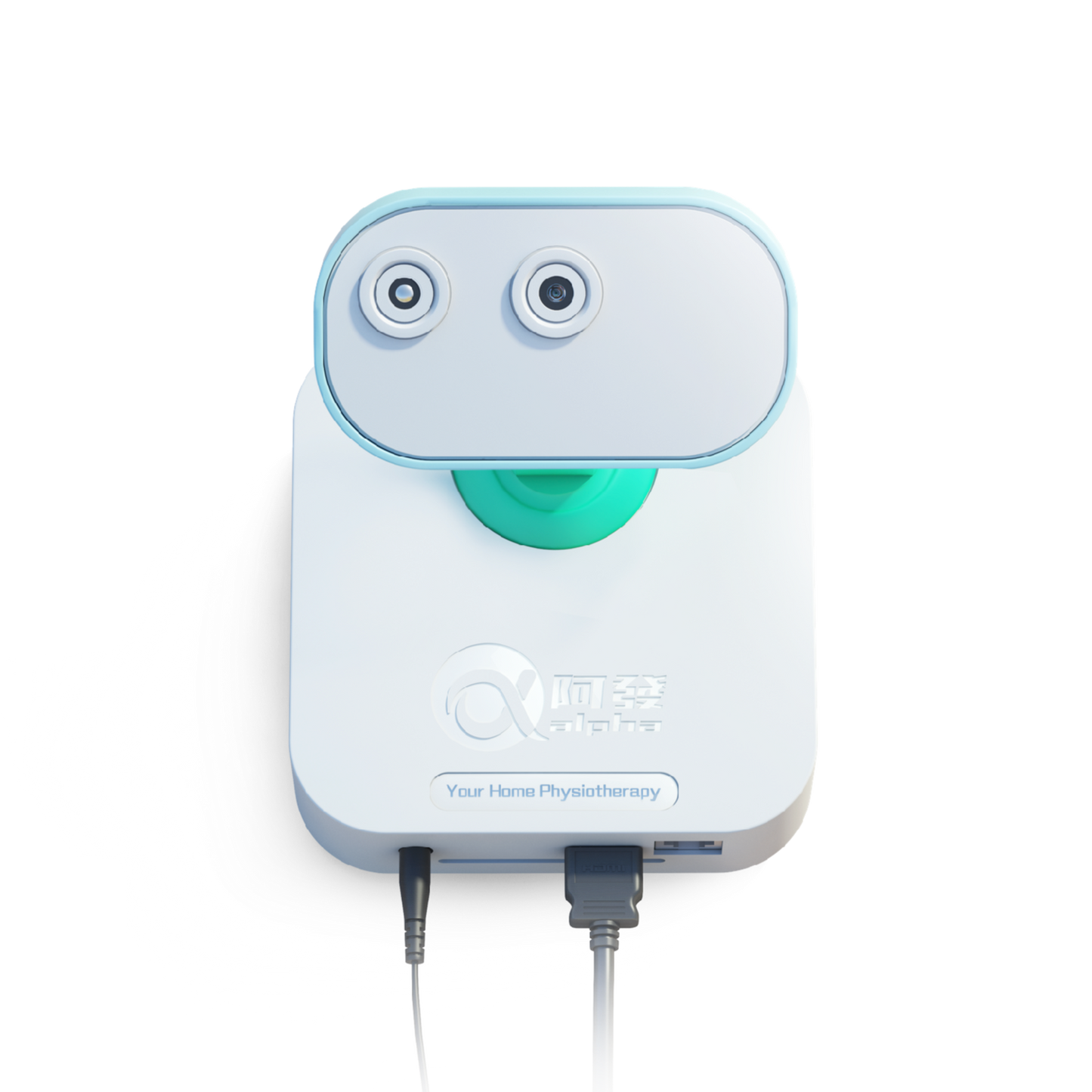 Alpha: The Ultimate Home Fitness and Remote Rehab System for Seniors