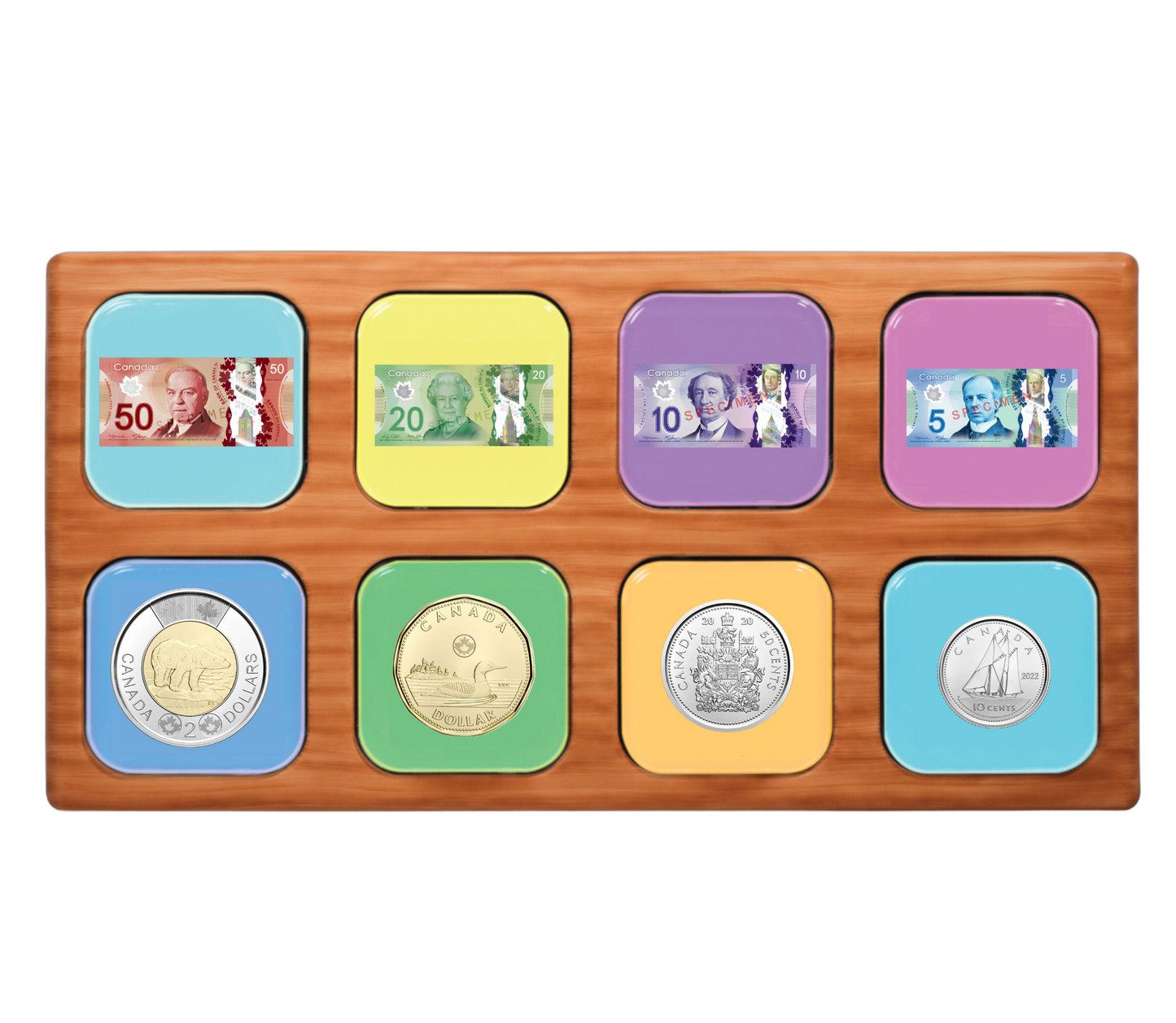 BUTTONS: Interactive Tactile Training System