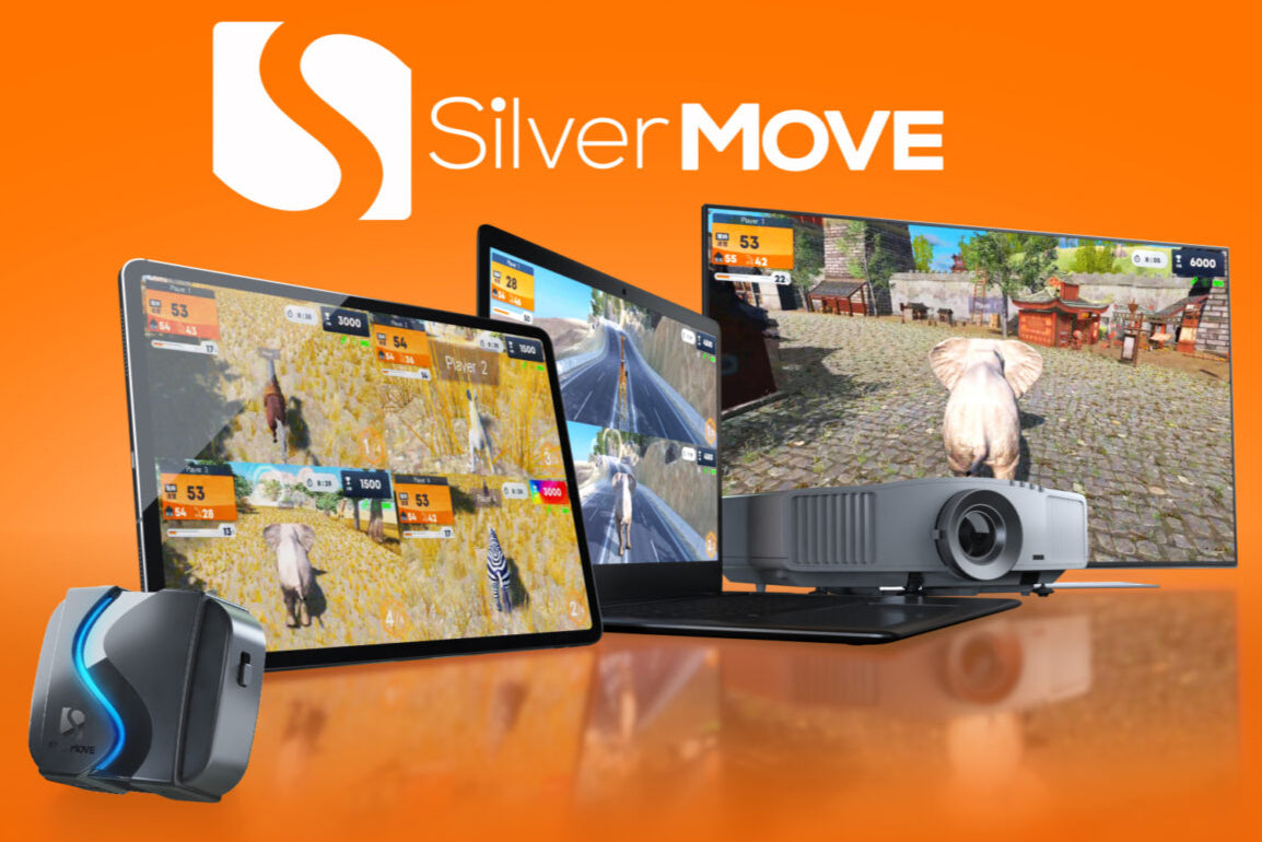 SilverMOVE: Compact VR Exercise System